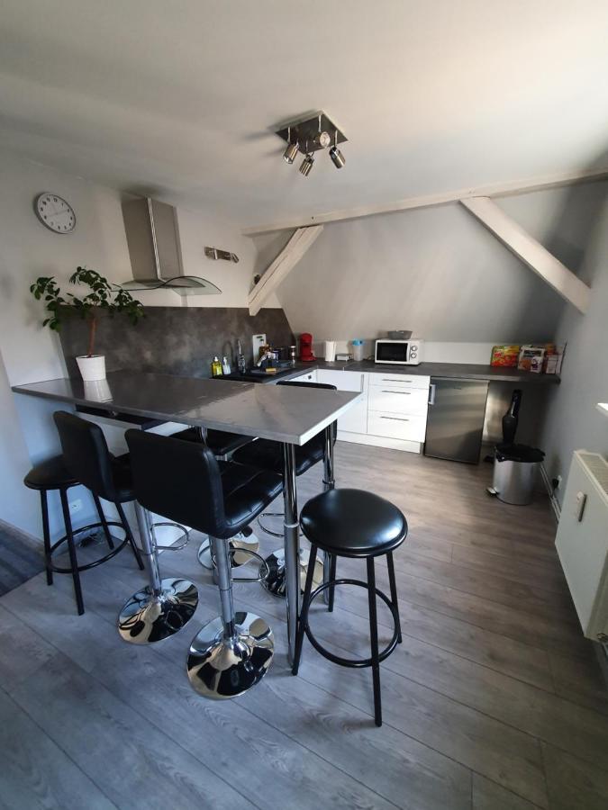 Chic & Cosy Apartamento Haguenau Exterior foto